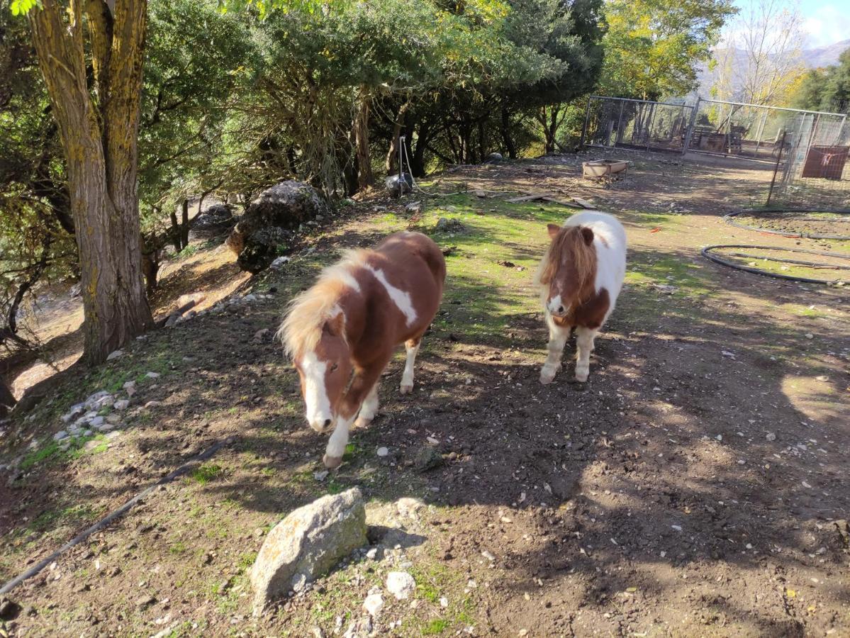 Oneiropagidasuites Kalavryta Exterior foto