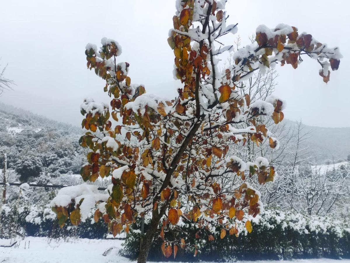 Oneiropagidasuites Kalavryta Exterior foto
