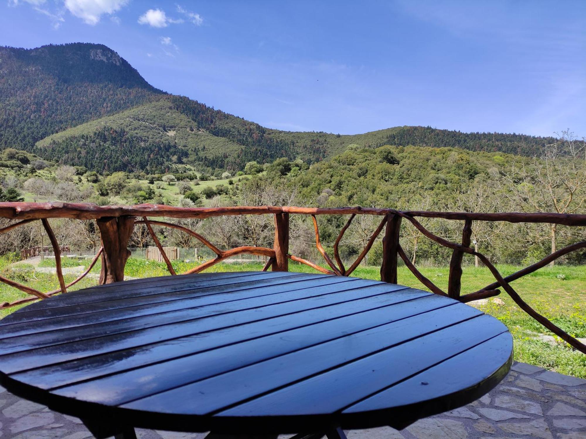 Oneiropagidasuites Kalavryta Habitación foto